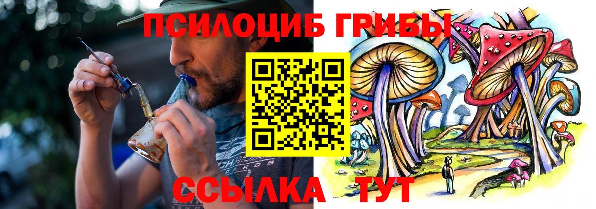Псилоцибиновые грибы MAGIC MUSHROOMS Гусь-Хрустальный
