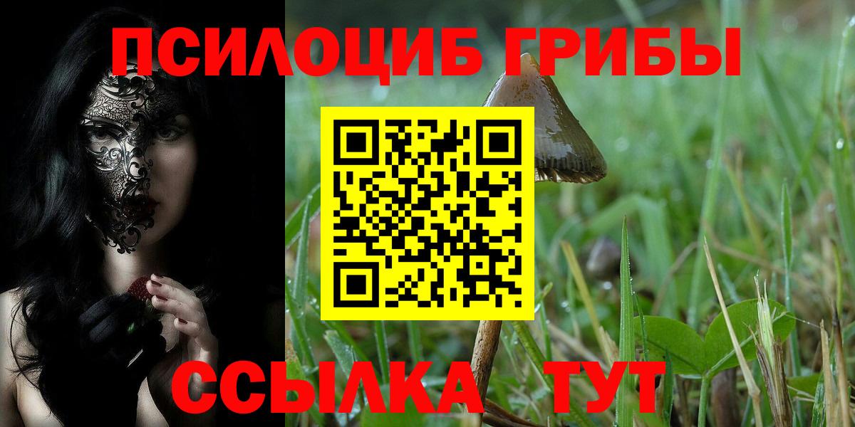 Псилоцибиновые грибы Psilocybe  Вход с VPN  Гусь-Хрустальный 